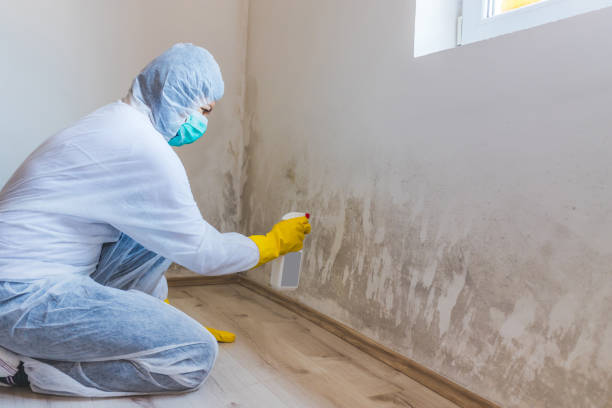 Licensed Mold Testing service in Norwood, NC - WQB Mold Removal