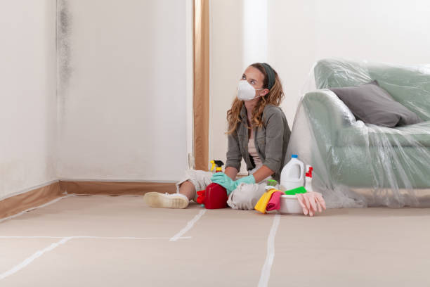 Reliable Mold Testing contractor in Norwood, NC by WQB Mold Removal