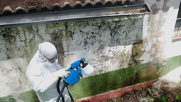Top rated local Mold Testing specialists in Norwood, NC